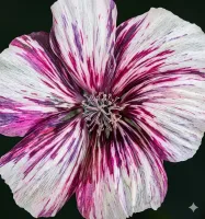 a7f10712-1e1a-4117-ad57-df8cd6d52428