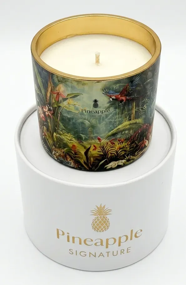 Bougie Pineapple 250g La Vie Sauvage