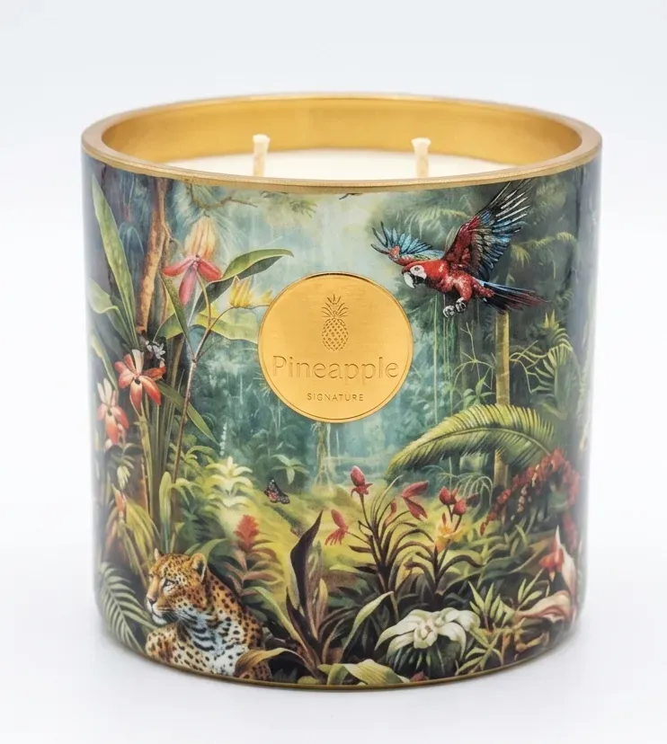 Bougie Pineapple 500g La Vie Sauvage