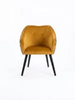 fauteuil devant
